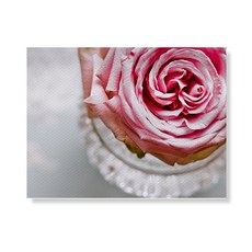 Little Hiker flower 帆布印花畫框 A3W35 188