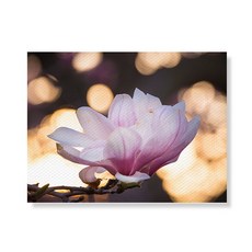 Little Hiker flower 帆布印刷畫框 A3W35 142