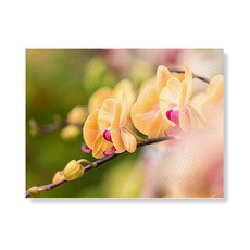 Little Hiker flower 帆布畫框 A3W35 199