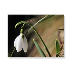 Little Hiker flower 帆布畫框 A3W35 43