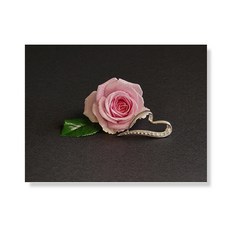 Little Hiker flower 帆布畫框A3W35 187