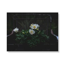 Little Hiker flower 帆布畫框A3W35 195