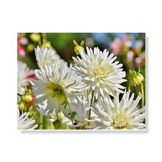 LITTLE HIKER flower 帆布畫框A3W35 121