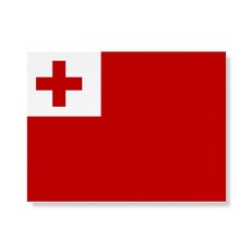 리틀하이커 NationalFlag 캔버스액자 NO191통가