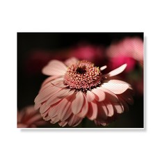 LITTLE HIKER flower 帆布畫框A3W35 123