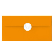 From&To 繽紛色彩 現金信封 B110p 96入 + 貼紙 96入, 橘色, 1組