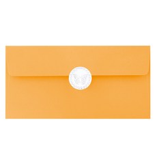 From&To 繽紛色彩 現金信封 B110p 96入 + 貼紙 96入, 深黃色, 1組