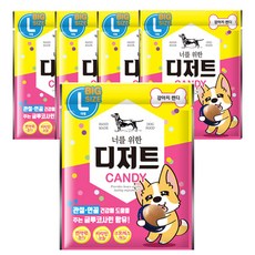 너를위한디저트 강아지 캔디 간식 L, 치킨, 21g, 5개