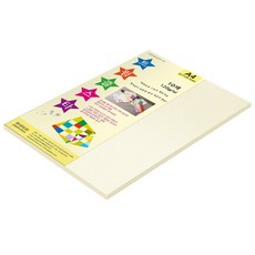 종이문화 펄지 트윙클스타 A4 No11 백금 120g, 100개