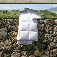 자리아 프리미엄 사계절용 구스다운 이불솜 200g