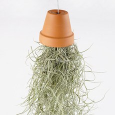 가꾸지오 토기컵수염 2p 세트, 1세트