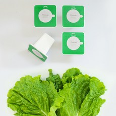 플랜티 스퀘어 픽셀 리필캡슐 텃밭가꾸기 4p, 청상추