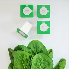 플랜티 스퀘어 픽셀 리필캡슐 텃밭가꾸기 4p, 로메인