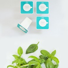 플랜티 스퀘어 픽셀 리필캡슐 텃밭가꾸기 4p, 바질