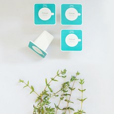 플랜티 스퀘어 픽셀 리필캡슐 텃밭가꾸기 4p, 타임