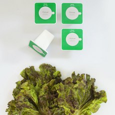 플랜티 스퀘어 픽셀 리필캡슐 텃밭가꾸기 4p, 적상추