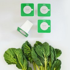 플랜티 스퀘어 픽셀 리필캡슐 텃밭가꾸기 4p, 다채