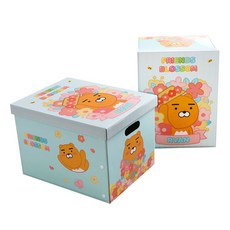 KAKAO FRIENDS 印花收納紙箱, Ryan, 2個