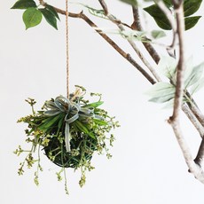 都市花園 胡枝子圓球人造花吊飾, 綠色