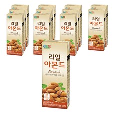 정식품 리얼 아몬드 두유, 235ml, 12개