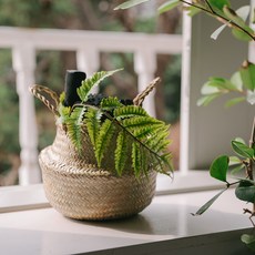 아스파시아 나만의 산림욕 숯 해초바구니 중, 1개