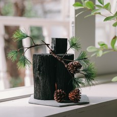 아스파시아 절경을 담다 소나무 숯화분, 1개