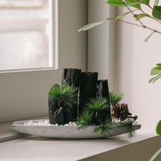 아스파시아 지리산 맑은 공기 숯화분, 1개