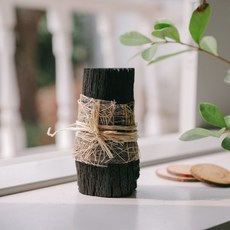 아스파시아 자연에서 온 맑은 공기 통숯 참숯 베이지, 10개입