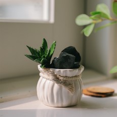아스파시아 사막의 오아시스 숯화분, 1개