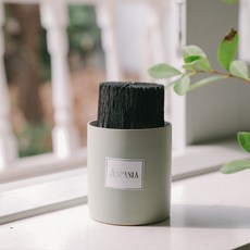 아스파시아 우리집 공기지킴이 그린 숯화분, 1개
