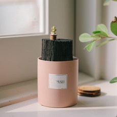 아스파시아 우리집 공기지킴이 핑크 숯화분, 1개