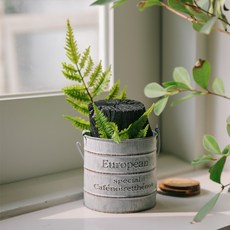 아스파시아 너에게 주는 공기 숯화분, 1개