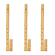 ANGEL MUSIC 塑料 danso eumsip AD-10 3p, 淺褐色