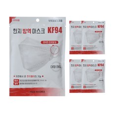 금황제지 한지 방역 마스크 대형 KF94, 1매, 5개