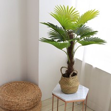 조아트 1단 도시로, 혼합 색상, 1개