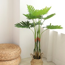 조아트 인조나무 셀로움 105cm, 혼합 색상, 1세트