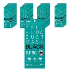 클로저 블랙 황사 방역마스크 소형 KF80, 1매, 20개