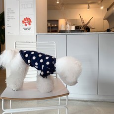 MAGDOG 巴寧圓點寵物T恤, 海軍藍