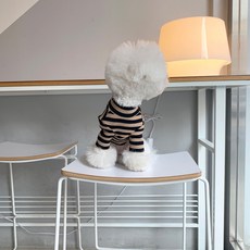 MAGDOG HERSHEY'S 條紋寵物 T 恤, 米色