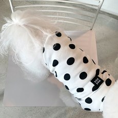 MAGDOG 巴寧圓點寵物T恤, 白色