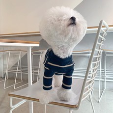 MAGDOG Mélange混色條紋寵物T恤, 海軍藍