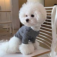 MAGDOG 魯夫條紋寵物T恤, 海軍藍