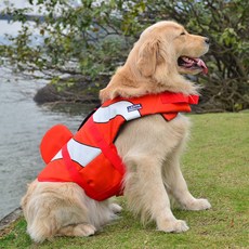 ZEZEPET 寵物用救生衣 小丑魚款 G316PDSJ002, 橘子