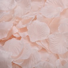 PARTY COSTUME 派對用玫瑰花瓣, 香檳色, 1套