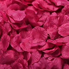 PARTY COSTUME 派對用玫瑰花瓣, 紫紅色, 1套