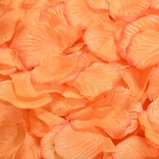 PARTY COSTUME 派對用玫瑰花瓣, 橘色漸層, 1套