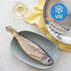 참굴비 1미 (냉동), 130g (25cm 내외), 1개