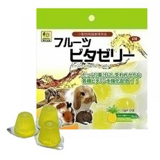 와일드산코 소동물 과일비타 젤리 418 간식 10p, 160g, 1개