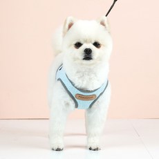 ParisDog Fresh 狗狗胸背帶 + 牽繩 M, 藍色, 1套