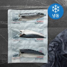 노르웨이 간 고등어살 (냉동), 100g, 3개